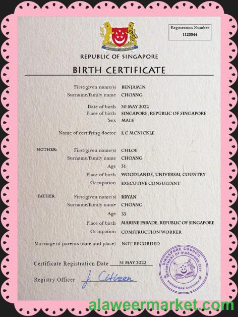 Singapore vital record birth certificate PSD template